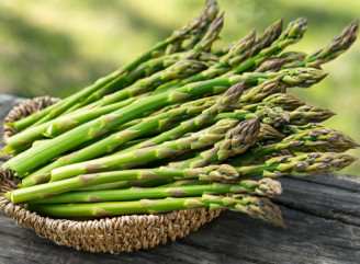 Выращивание спаржи в Украине: лучшие сорта и секреты хорошего урожая