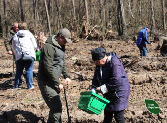 На Ніжинщині висадили ліс на честь полеглого воїна-лісівника Олександра Кротенка