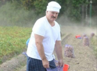 У Білорусі вперше зникла картопля: дефіцит «другого хліба» став наслідком політики Лукашенка