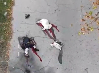 На Херсонщині окупанти вбили 84-річну жінку, скинувши вибухівку з дрона