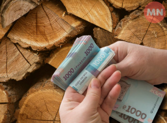 Попит росте — ціни теж: ситуація з дровами у Ніжині