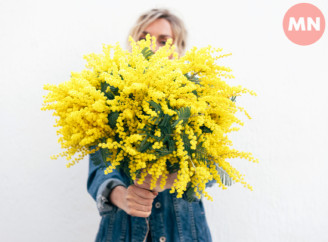 Які квіти не варто дарувати жінкам на 8 Березня – пояснюємо чому