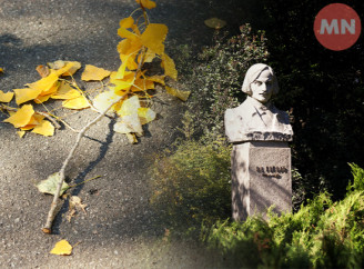 Вереснь у Ніжині: осінь між тривогами