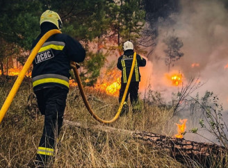 Пожежі й небезпечні знахідки: на Чернігівщині за добу ліквідували 6 загорянь і знешкодили боєприпаси