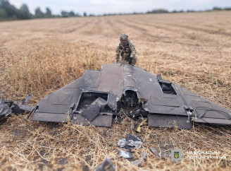 Поблизу Ніжина та у Корюківському районі знешкодили бойові частини ворожих безпілотників