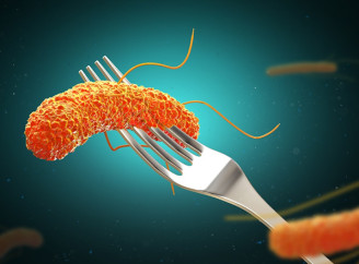 На Львівщині отруїлися діти у приватному таборі: госпіталізовано 24 неповнолітніх