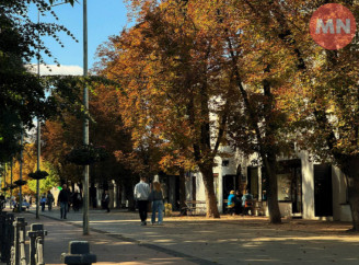 Мить яскравої осені: Ніжин у жовтому листі