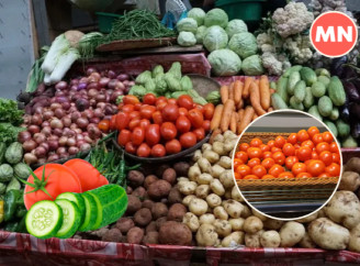 Свіжі огірки та помідори: які ціни у Ніжині