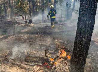 У Ніжинському районі через атаку безпілотників у лісі сталася пожежа