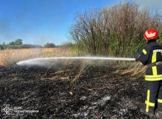 Вогонь на 12 гектарах: рятувальники Чернігівщини за добу загасили 14 пожеж у екосистемах