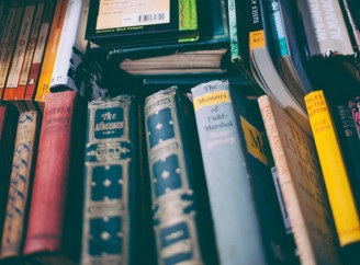 Как чтение исторической литературы развивает критическое мышление