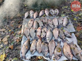 На Чернігівщині викрили браконьєра, який наловив карасів на 50 тисяч гривень