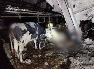 Російські «Герані» вдарили по сільгосппідприємству на Чернігівщині