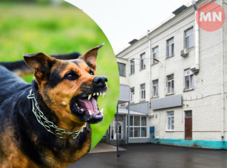 У Ніжині від укусів тварин за вісім місяців постраждали понад 140 людей