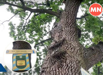 Перекази давнини Прилук: багатовікові дуби, винні погреби та підземні ходи - Відео