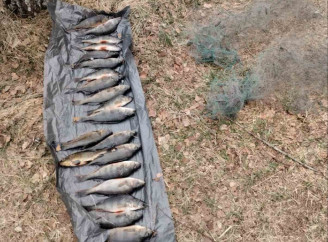 20 рибин на 60 тисяч гривень: на Чернігівщині затримали браконьєра з сітками