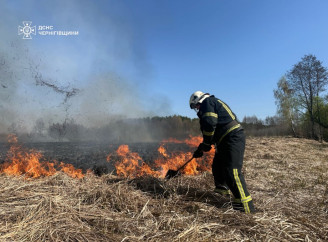 За добу на Чернігівщині ДСНС-ники врятували чотирьох тварин та ліквідували 22 пожежі 