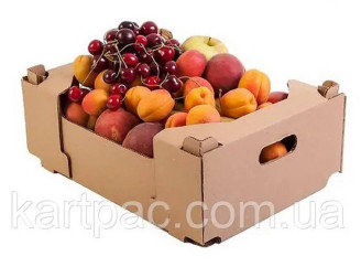 Типові помилки новачків при відкритті продуктового бізнесу