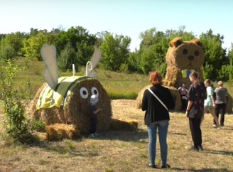 На Чернігівщині креативна фотозона стала окрасою села - Відео