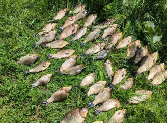 Понад 60 кг риби на трьох: на Чернігівщині викрили браконьєрів