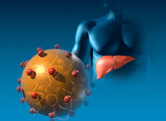 За пів року на Чернігівщині виявили майже 120 випадків гепатитів B і C