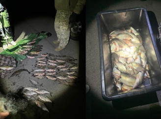 Наловив сіткою риби на 92 тисячі гривень: на Чернігівщині патрульні зупинили браконьєра