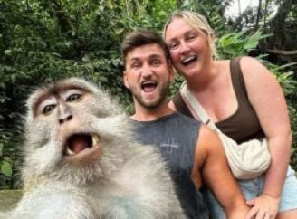 Мавпа зробила селфі з туристами – кумедне фото