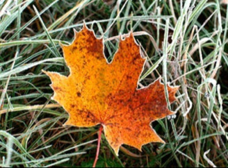 Новий порядок відстрочки від мобілізації та старт опалювального сезону: які зміни набувають чинності у листопаді 2025 року
