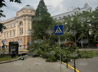 Буря на Львівщині зупинила транспорт і повалила дерева
