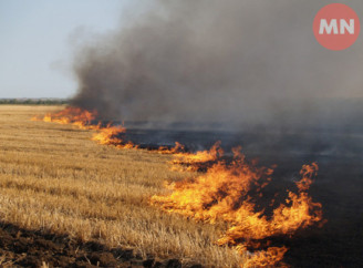 На Ніжинщині за добу сталося три масштабні пожежі сухої трави