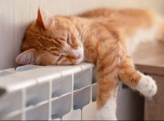 Чернігівська міська рада закликала жителів не публікувати дані про відновлення світла і тепла