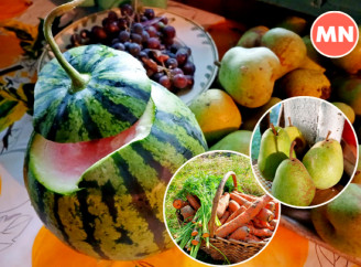 Осінні дари природи – фоторепортаж з дачі