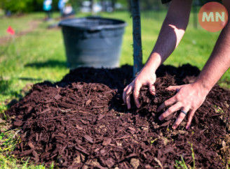 Русальний тиждень після Трійці: традиції, заборони та прикмети