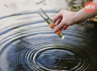 У річці на Ніжинщині виявили небезпечну бактерію: жителям радять утриматися від купання та рибальства