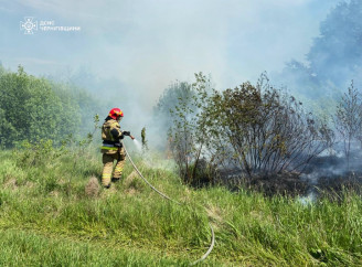 Пожежі, вибухівка та допомога людям: рятувальників Чернігівщини ліквідували 16 пожеж за добу