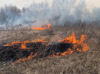 На Ніжинщині за вихідні сталося три пожежі: подробиці