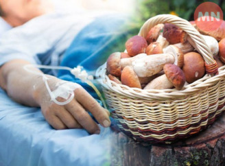 На Чернігівщині випадок отруєння грибами: медики закликають бути вкрай обережними