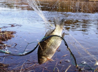 302 тисячі гривень збитків: на Чернігівщині покарали браконьєра