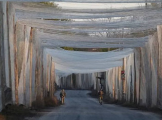 Французькі рибалки передали Україні сотні кілометрів сіток для захисту від дронів