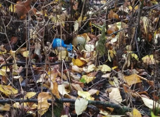 Неподалік залізничного вокзалу в Ічні знайшли три гранати