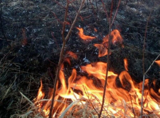 У Ніжині через пожежу сухої трави з термічними опіками госпіталізовано чоловіка