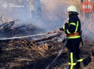 На Ніжинщині сталися дві пожежі господарчих будівель