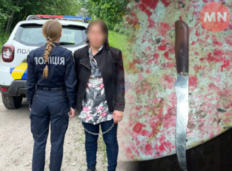 Разом випивали, а тоді нож в груди: на Ніжинщині жінка вбила чоловіка