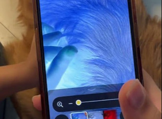 iPhone може допомогти швидше помітити кліщів і бліх на домашніх улюбленцях