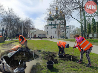 У Ніжині з міського бюджету закупили багаторічних саджанців майже на 150 тисяч гривень: скільки витрачали за попередні роки