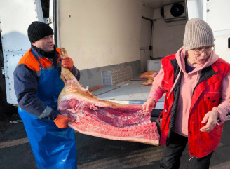 "Не один десяток поросят": як ніжинець Володимир Рубель допомагає війську м'ясом