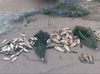 На Чернігівщині затримали браконьєра з Сумщини, котрий під час нересту виловив риби на понад 200 тисяч гривень