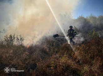 За добу рятувальники Чернігівщини ліквідували 13 пожеж та знешкодили понад 40 боєприпасів