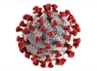 В Україні виявили новий варіант COVID-19 Stratus: за місяць його частка у світі зросла утричі