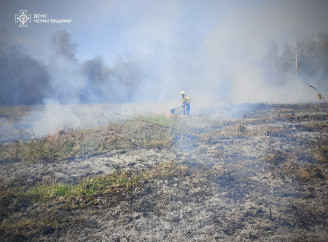 На Ніжинщині за добу сталися дві пожежі: горіла суха трава й настил у лісі